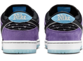 Nike SB x Hayley Wilson Dunk Low 'Court Purple' - HJ0513-500